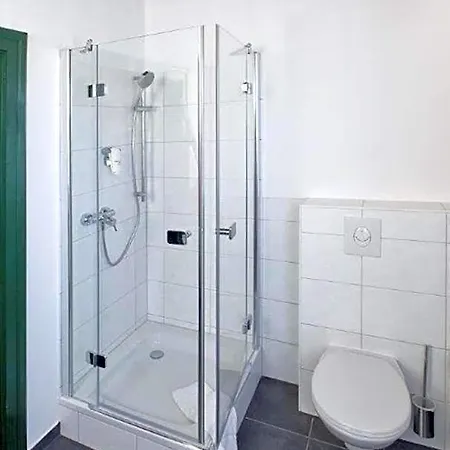 Der Schwan & Restaurant Hotel 3*