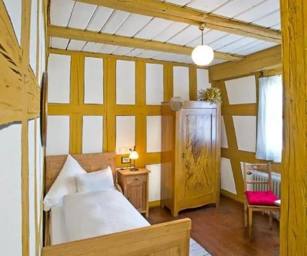 Hotel Der Schwan & Restaurant 3*